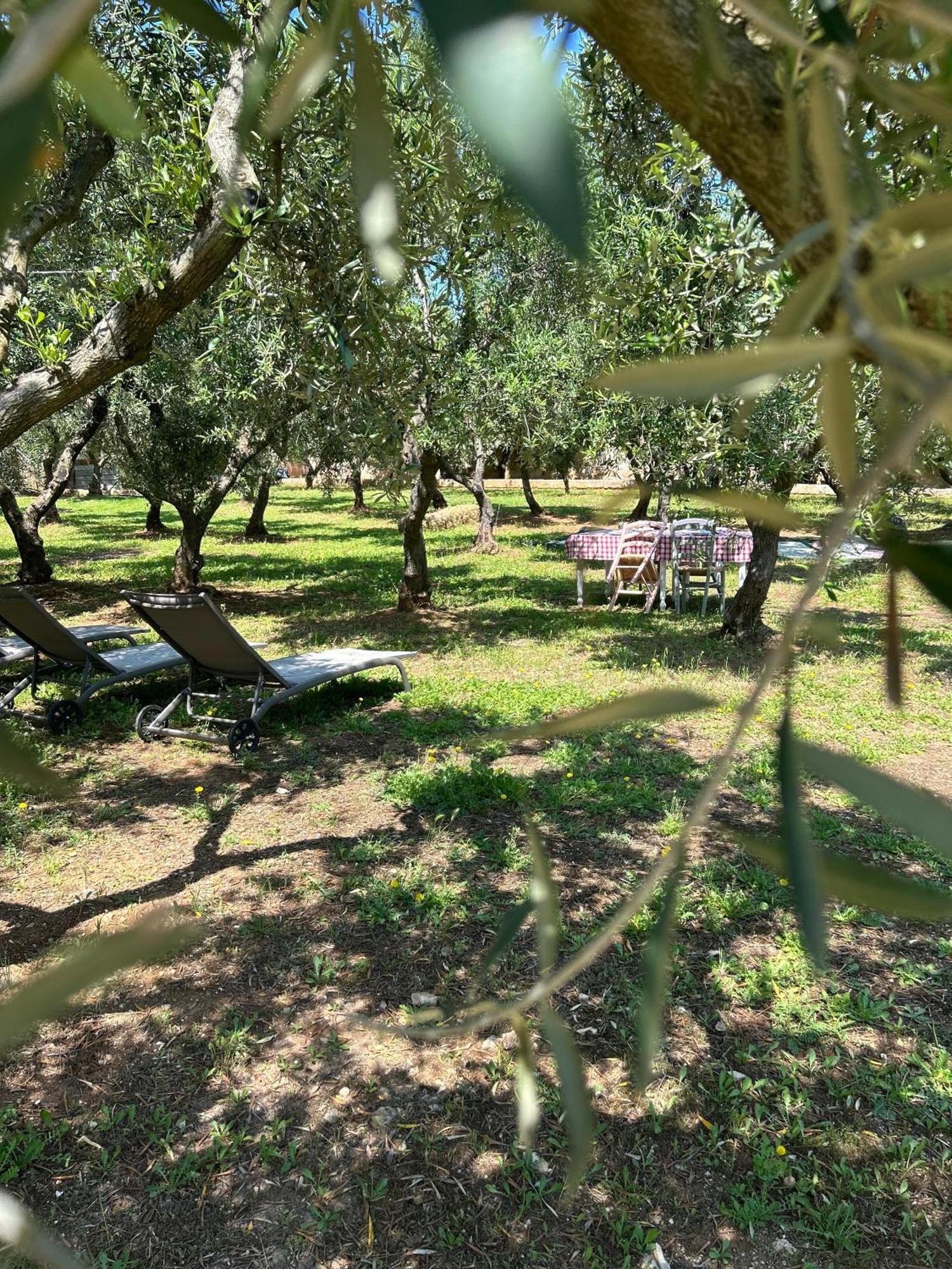Sorelle Barnaba Country House Монополи Екстериор снимка